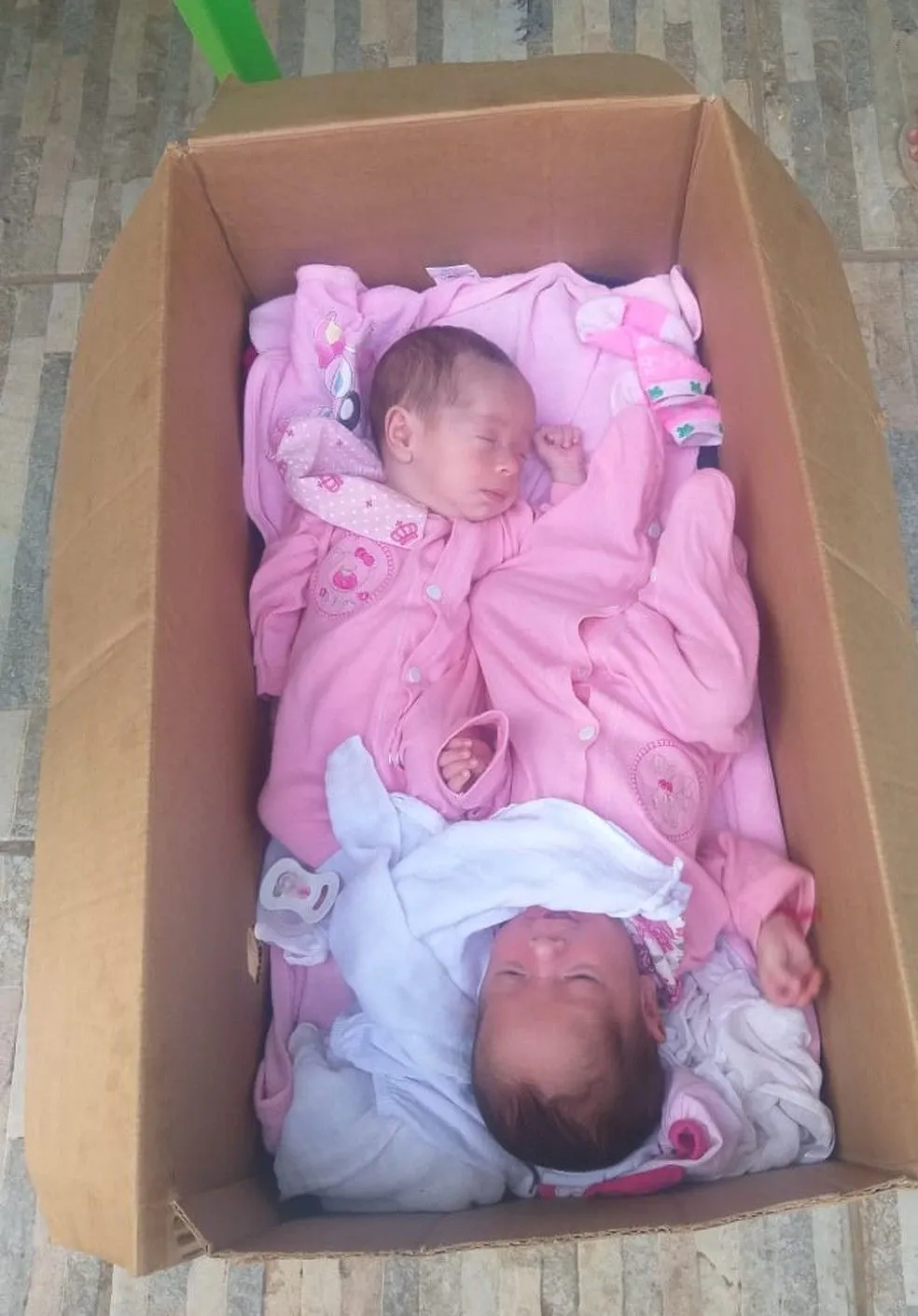 Gêmeas ficam dentro de uma caixa de papelão enquanto mãe trabalha 