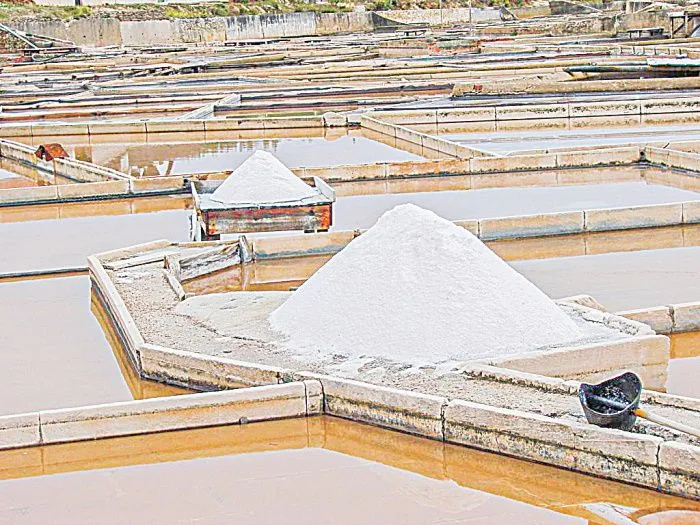 Exploração de sal-gema, mineral que é usado para tratar água e fabricar tecidos, plásticos, baterias, entre outros