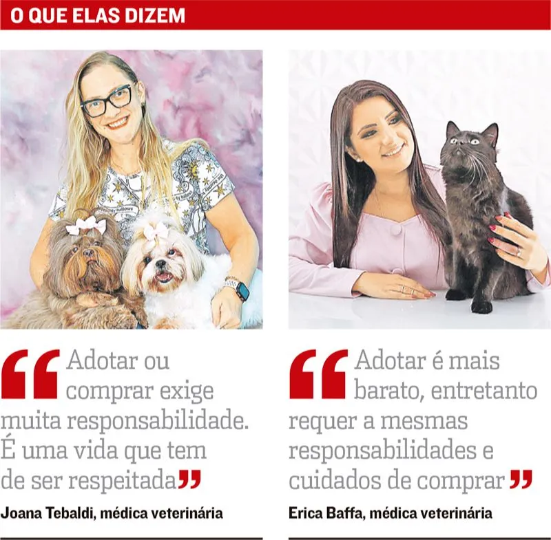 Imagem ilustrativa da imagem Comprar ou adotar animais domésticos, existe opção certa?