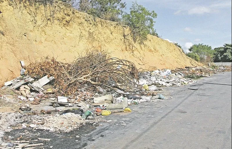 Imagem ilustrativa da imagem Lixão incomoda moradores