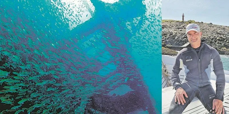Imagem ilustrativa da imagem Descobertas 200 espécies em navios encalhados