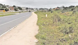 Imagem ilustrativa da imagem Mato e perigo na Leste-Oeste