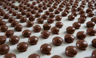 Imagem ilustrativa da imagem Nova fábrica de chocolates no Estado