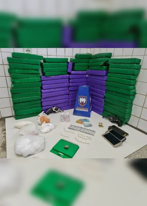 Imagem ilustrativa da imagem Polícia apreende 70 quilos de maconha e prende duas pessoas