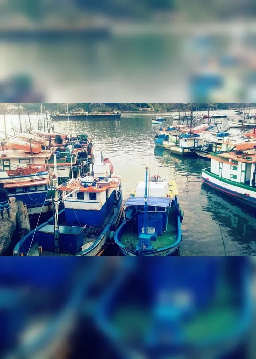 Imagem ilustrativa da imagem Protesto de pescadores em Vitória vai ter doação de 1 tonelada de peixe