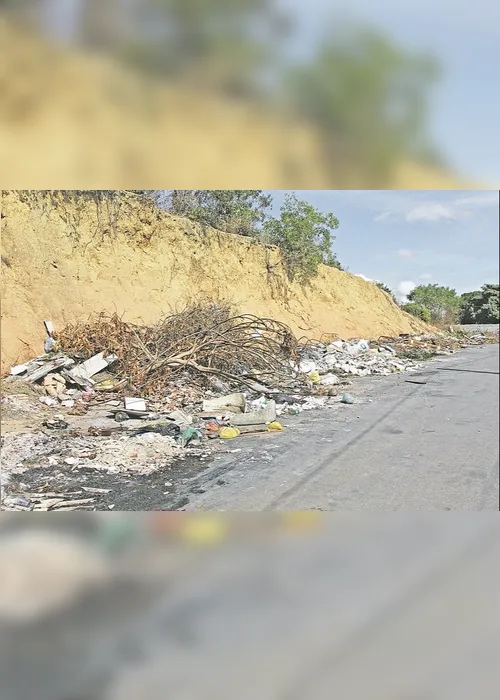 Imagem ilustrativa da imagem Lixão incomoda moradores