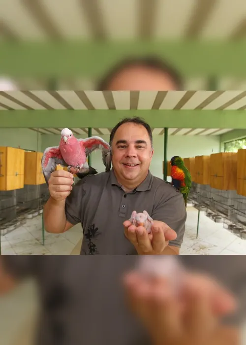 Imagem ilustrativa da imagem Empresas criam de aves exóticas a ratos de estimação