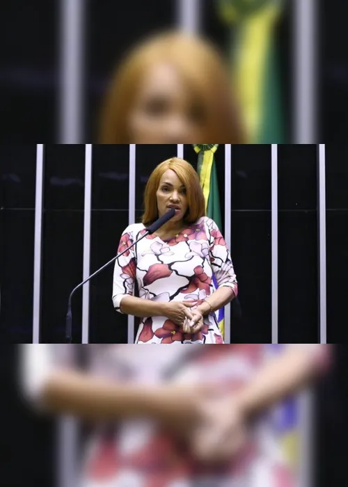 Imagem ilustrativa da imagem Justiça decreta prisão da ex-deputada Flordelis