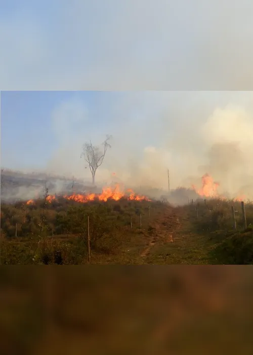 Imagem ilustrativa da imagem Incêndio destrói área equivalente a 168 campos de futebol no Sul do Estado