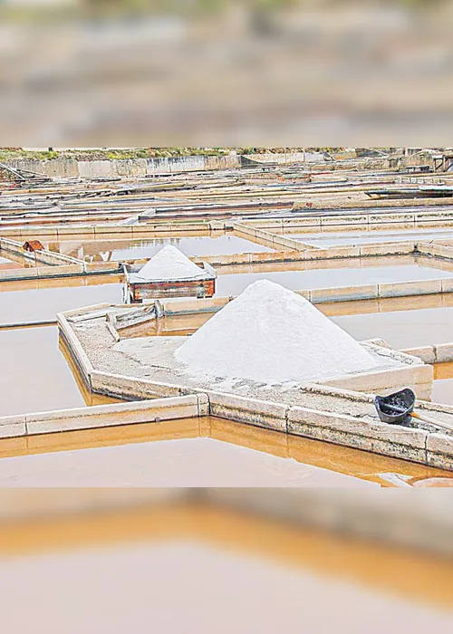 Imagem ilustrativa da imagem Mineração vai abrir 15 mil vagas a partir de janeiro no Estado