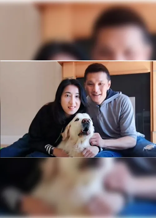 Imagem ilustrativa da imagem Mulher gasta R$ 180 mil em voo privado para levar cão de Hong Kong à Irlanda