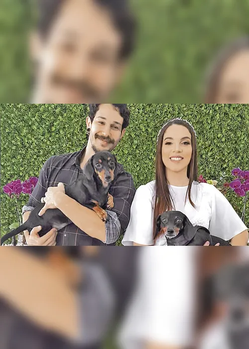 Imagem ilustrativa da imagem Comprar ou adotar animais domésticos, existe opção certa?