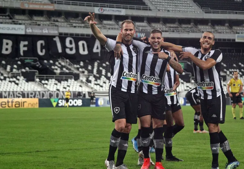 Botafogo bate Brasil-RS e sobe na tabela da Série B