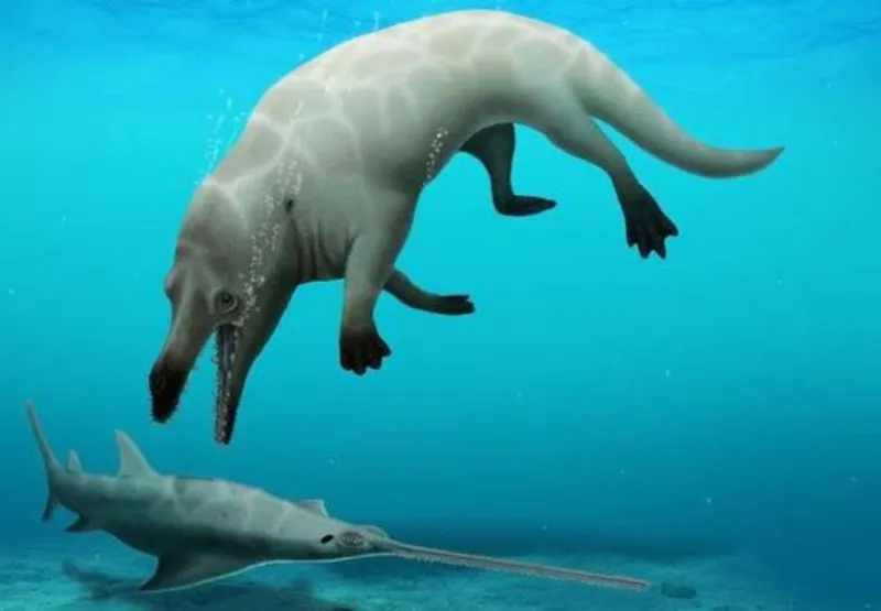 Fóssil de baleia de quatro pernas é encontrado no Egito