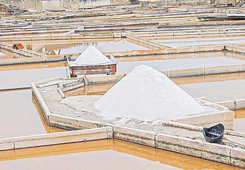 Exploração de sal-gema, mineral que é usado para tratar água e fabricar tecidos, plásticos, baterias, entre outros