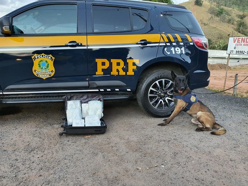 Cão Urbano, da PRF, encontrou droga em mala de viagem durante fiscalização na BR-262, em Viana. (Foto: Divulgação/PRF)