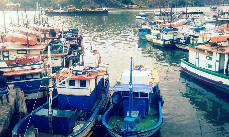 Barcos pesqueiros em Vitória (Foto: Reprodução/Facebook SINDPESMES)