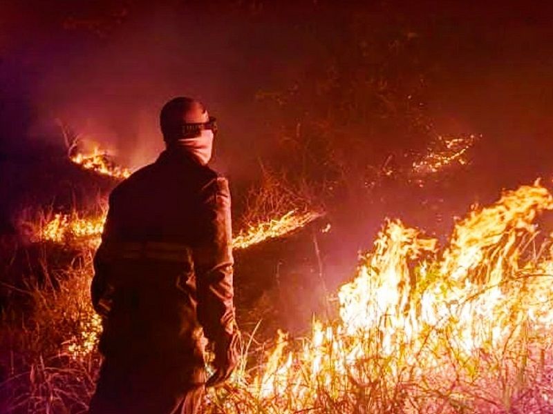 Brigadistas atuando no controle das chamas (imagem ilustrativa) (Foto: Divulgação/ Corpo de Bombeiros)