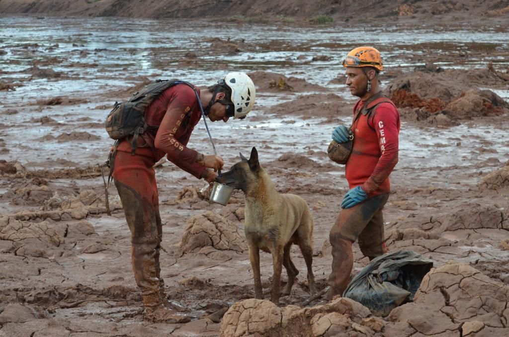 Atos e Vida atuaram em tragédias como as de Brumadinho e Mariana (Foto: Divulgação/ Sesp)