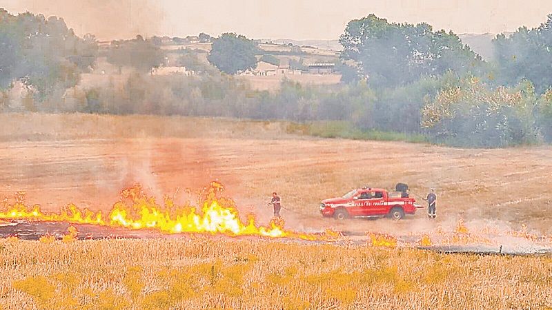 Bombeiros tentam conter um dos focos de incêndio em floresta italiana (Foto: Divulgação/ Corpo de Bombeiros)