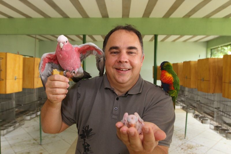 O ornitólogo Gil Piske, 46, cria 15 espécies de aves exóticas em um sítio no Estado (Foto: Kadidja Fernandes/AT)