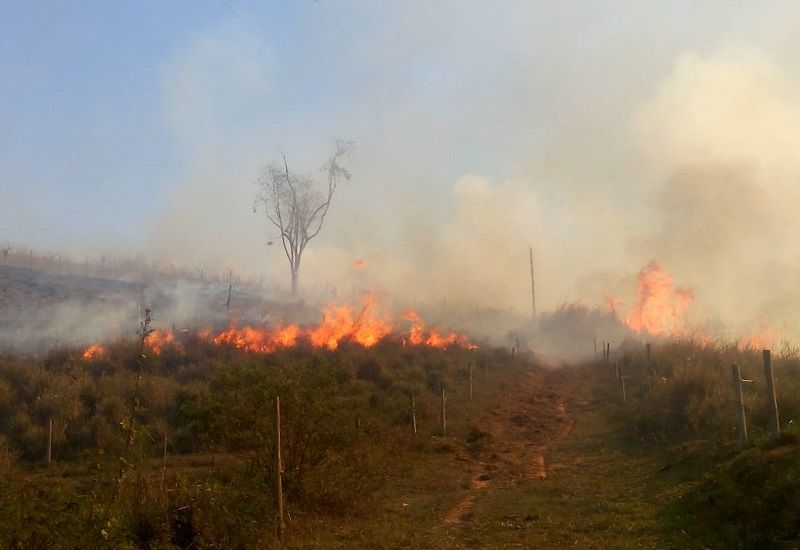 O incêndio teria começado em uma propriedade na noite desta quarta-feira (25) (Foto: Alessandro de Paula)