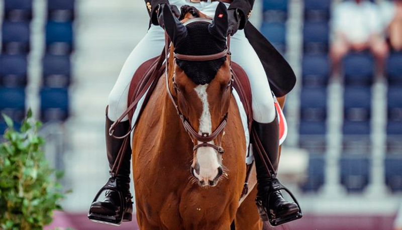 Jet Set sofreu uma lesão irreversível no obstáculo aquático (Foto: Reprodução / Twitter FEI)