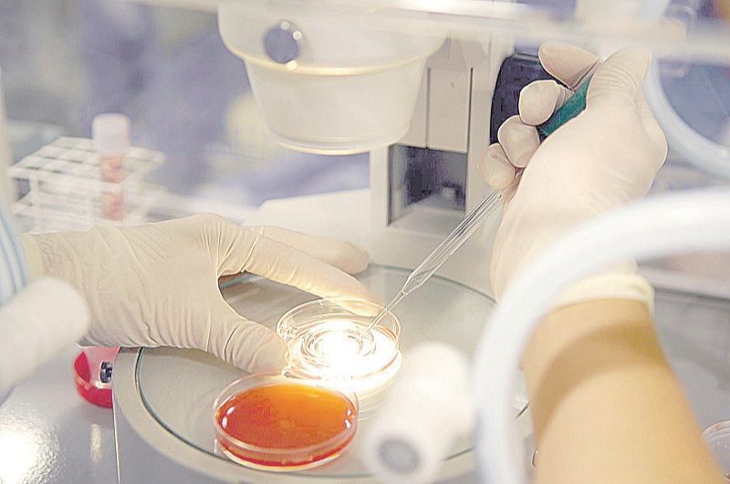 Fertilização in vitro sofreria restrições com aprovação do projeto de lei (Foto: Arquivo/ AT)