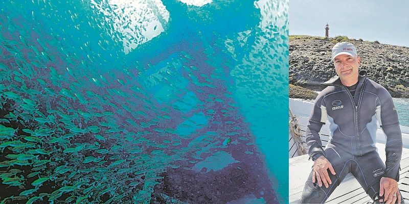 A Biodiversidade marinha em Guarapari é a maior do Brasil, segundo o instrutor de mergulho Bruno Felipetto (Foto: Julio Yaber/ Atlantes e Roberta bourguignon)