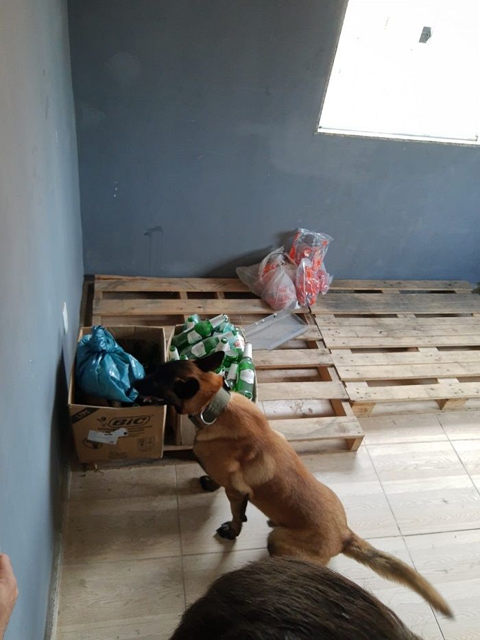 Droga foi encontrada por cão farejador (Foto: Divulgação Polícia Civil)