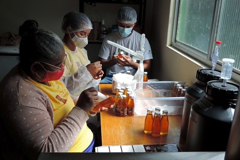 Agricultores indígenas do Norte do Estado na produção do mel gourmet, feito a partir de abelhas sem ferrão (Foto: Cooperativa de Agricultores Indígenas/Divulgação)