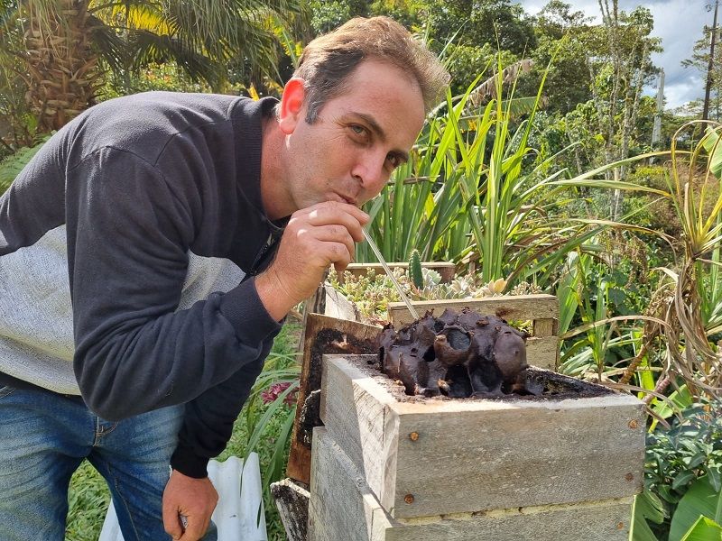 O apicultor Paulo Cesar Soncini Giera, de 42 anos, tomando mel no canudo (Foto: Roberta Bourguignon/AT)