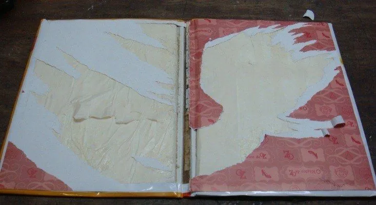 Imagem ilustrativa da imagem Polícia Federal apreende cocaína em livros infantis em aeroporto