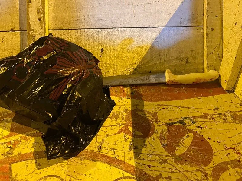 Imagem ilustrativa da imagem Mãe e filha são mortas a facadas no Sul do Estado