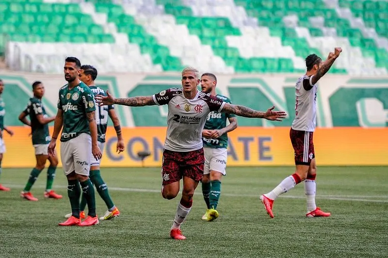 Imagem ilustrativa da imagem Flamengo vence Palmeiras de virada e se aproxima dos líderes do Brasileirão