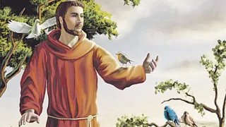 Imagem ilustrativa da imagem Festa para São Francisco