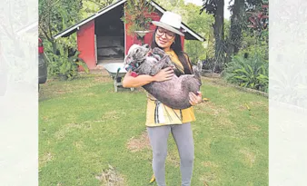 Imagem ilustrativa da imagem Gasto médio com cães é de R$ 340 por mês