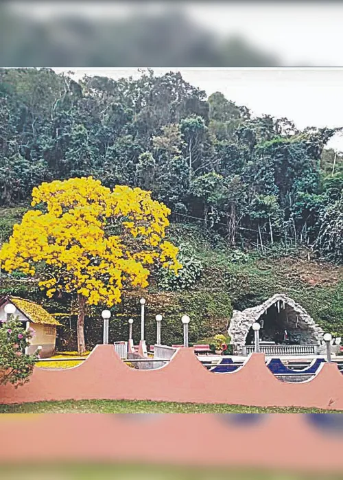 Imagem ilustrativa da imagem Vinho capixaba cresce em venda e conceito
