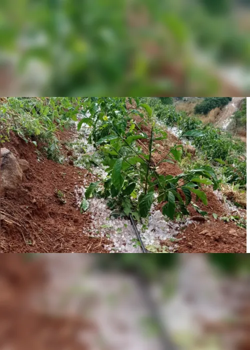 Imagem ilustrativa da imagem VÍDEOS | Chuva de granizo deixa estragos em cidades no Estado