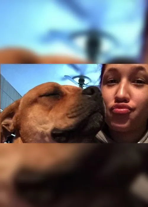Imagem ilustrativa da imagem Mulher vai à abrigo adotar animal e reencontra cachorro desaparecido há dois anos