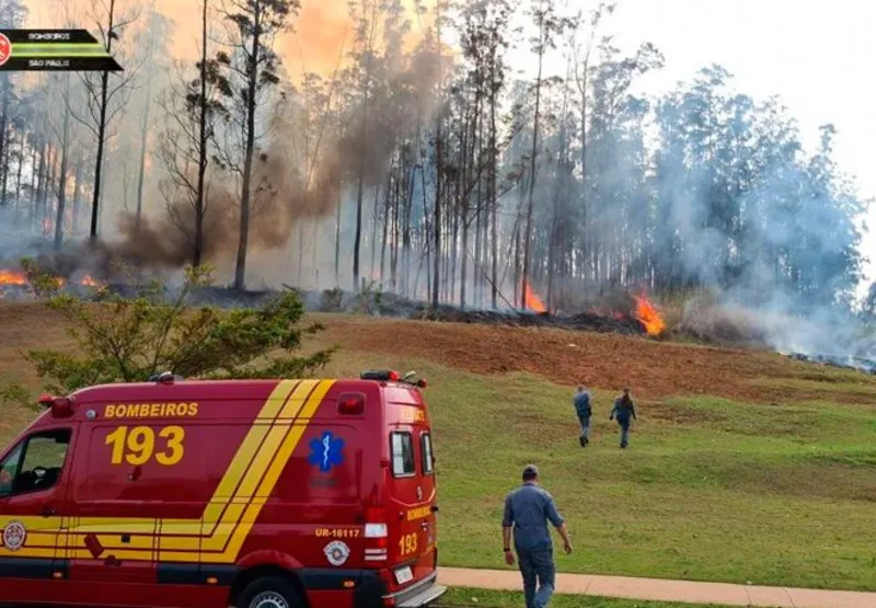 Imagens divulgadas pelo Corpo de Bombeiros mostram um incêndio em um bosque causado pelo acidente.