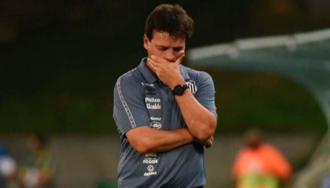 Fernando Diniz (Foto: Reprodução / SBT)