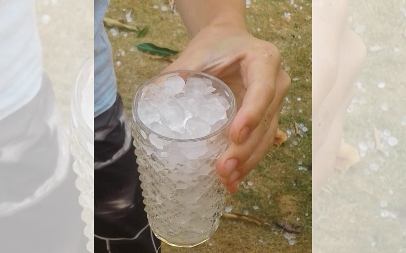 Granizo provocou estragos em lavouras da região Serrana (Foto: Imagem enviada pelo Whatsapp)