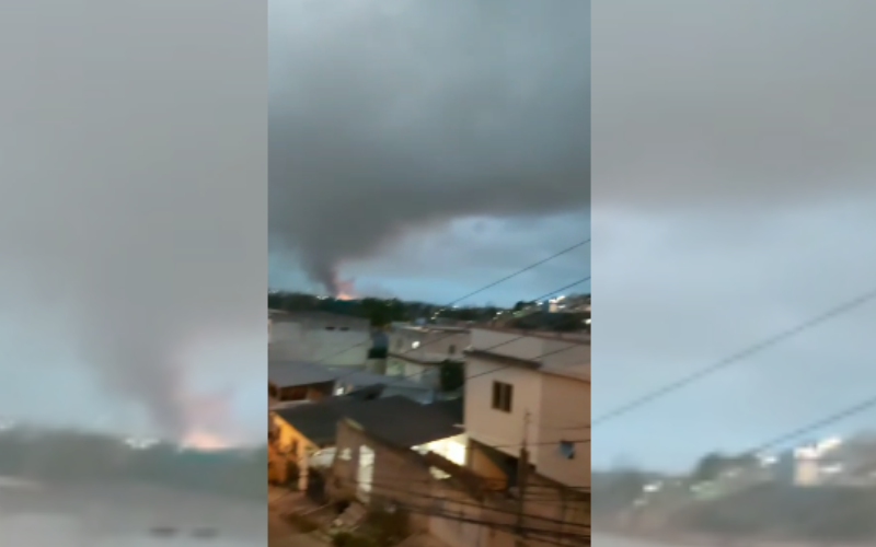 (Foto: Reprodução)