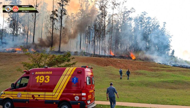 Imagens divulgadas pelo Corpo de Bombeiros mostram um incêndio em um bosque causado pelo acidente. (Foto: Corpo de Bombeiros / PMESP)