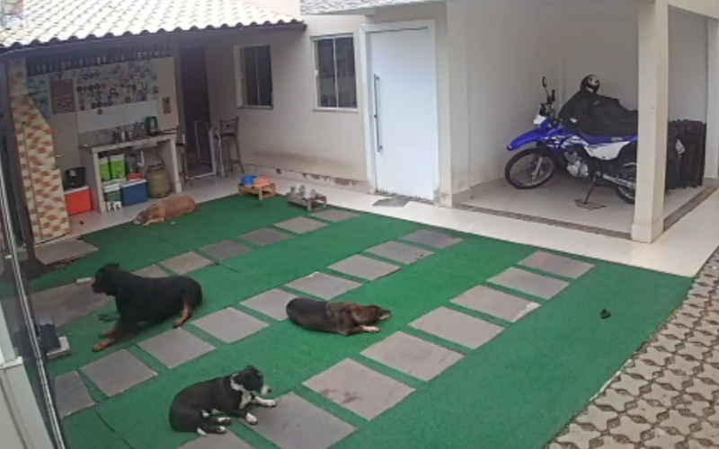 O ataque durou cerca de 15 minutos, de acordo com as imagens gravadas. (Foto: Reprodução vídeo/ Delano Braga)