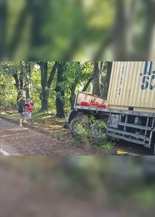 Imagem ilustrativa da imagem Motorista de carreta morre após sair da pista e bater em árvore na BR-101