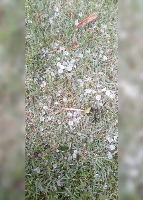Imagem ilustrativa da imagem Chuva de granizo destrói plantações e assusta moradores no Estado
