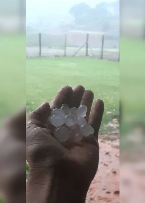 Imagem ilustrativa da imagem Chuva de granizo destrói plantações e assusta moradores no Estado