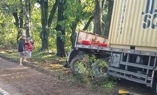 Motorista da carreta saiu da pista e atingiu uma árvore (Foto: Internauta)
